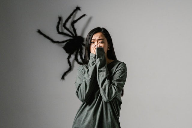 Hypnotherapy for Fear of Spiders Hypnotherapy for Fear of Spiders