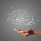 brain-4961452_640 brain-4961452_640